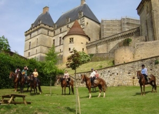  Campos equestres com profissionais 